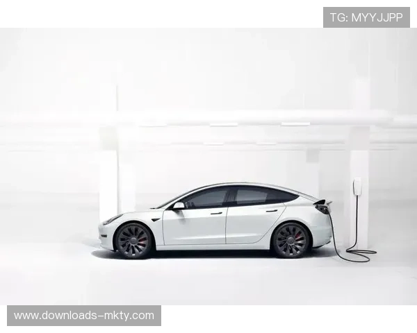 体育服务供应链强调本地化布局,缩短应急响应半径 体育服务供应链强调本地化布局,缩短应急响应半径